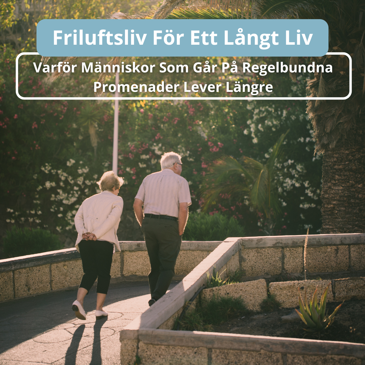 Friluftsliv För Ett Långt Liv Varför Människor Som Går På Regelbundna Promenader Lever Längre